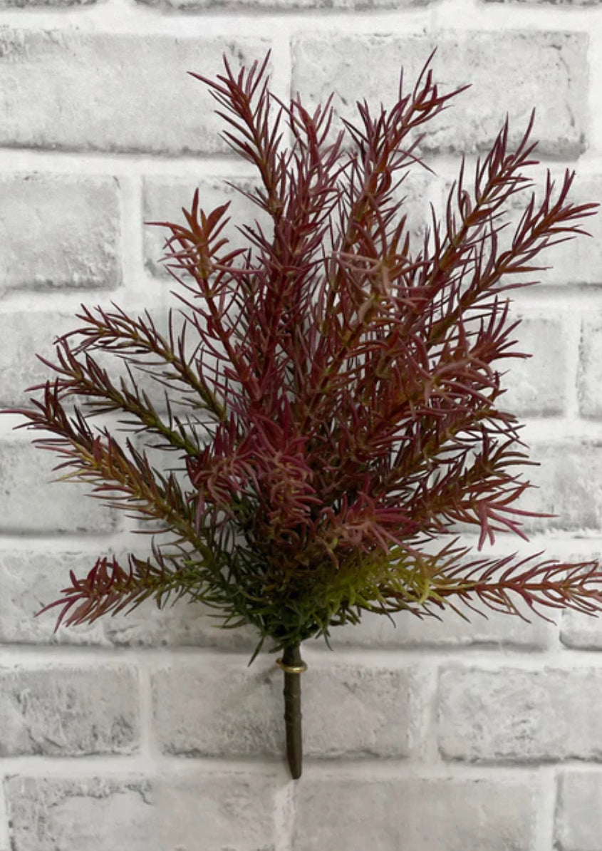 ITEM 11465 BURGR - 13.5" BURGUNDY GREEN ASPARAGUS BUSH
