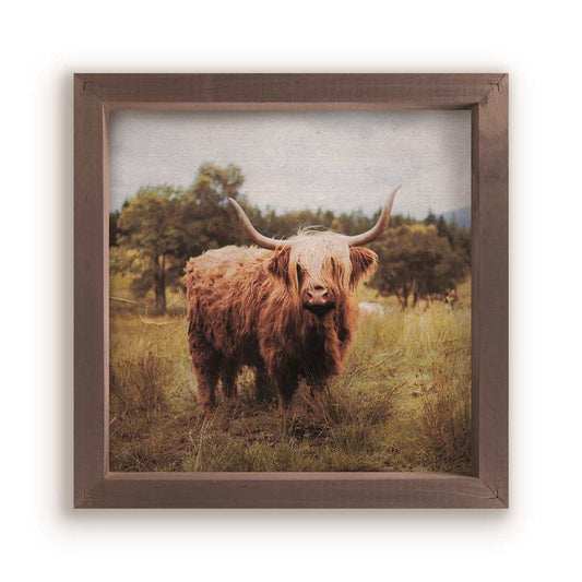 Art Framed Highland Cow