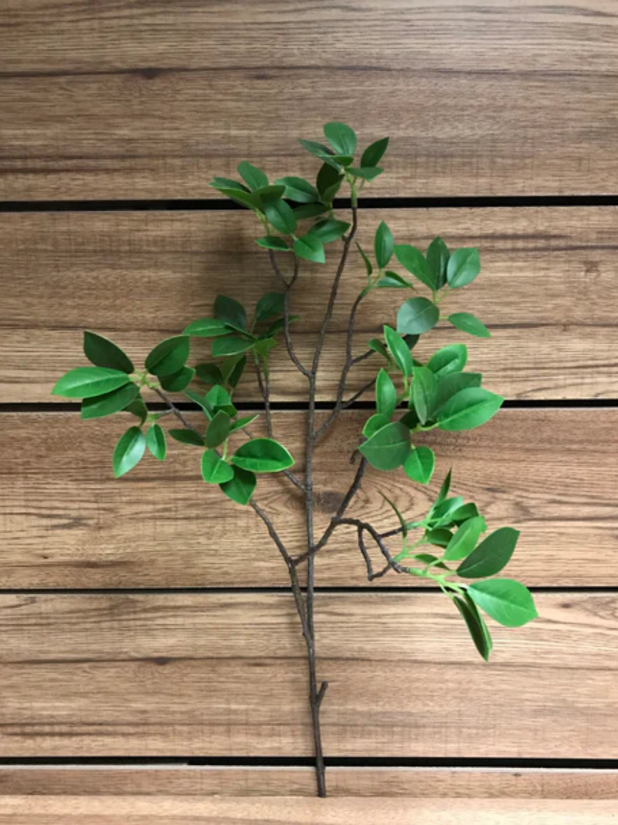 31" GREEN FICUS SPRAY X 2