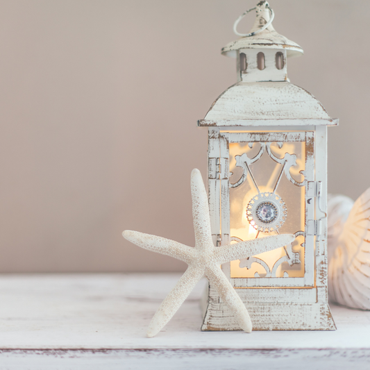 LADY FINGER STARFISH(5/PK)