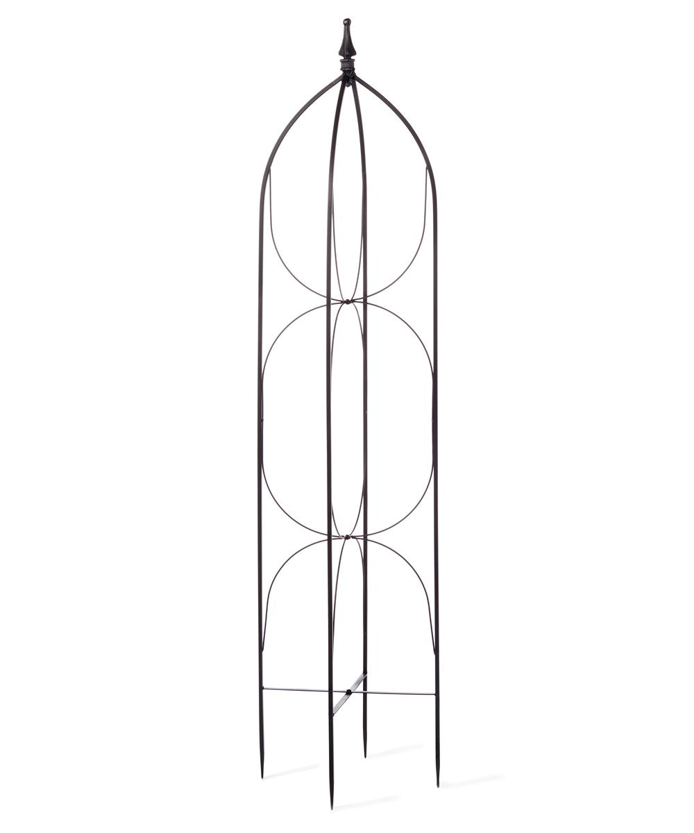 Small Black Trellis