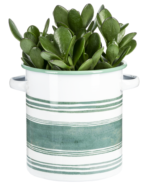 Sage & White Striped Enamel Container with Handles (2 pc. set)