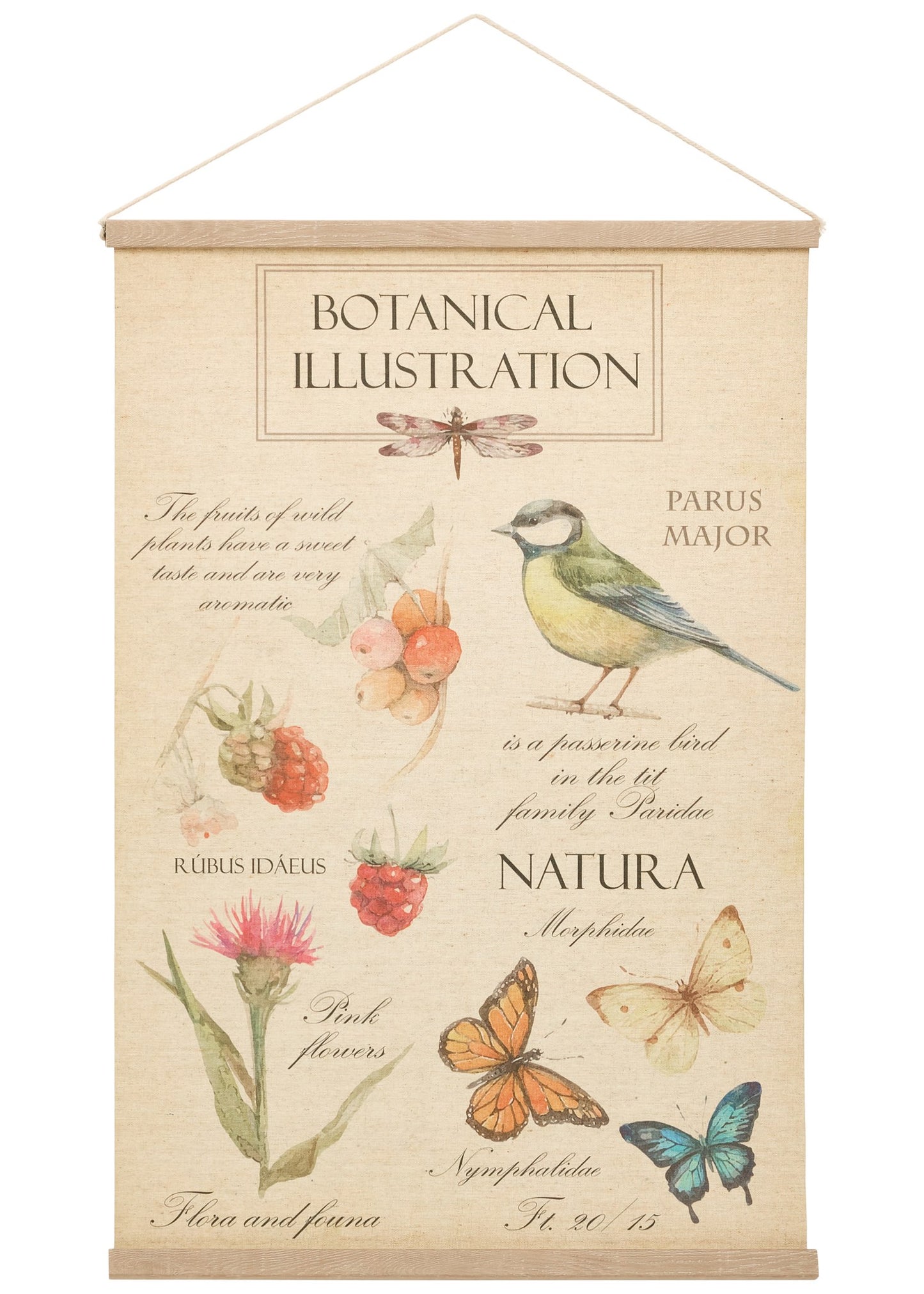 BANNER SPRING COTTON