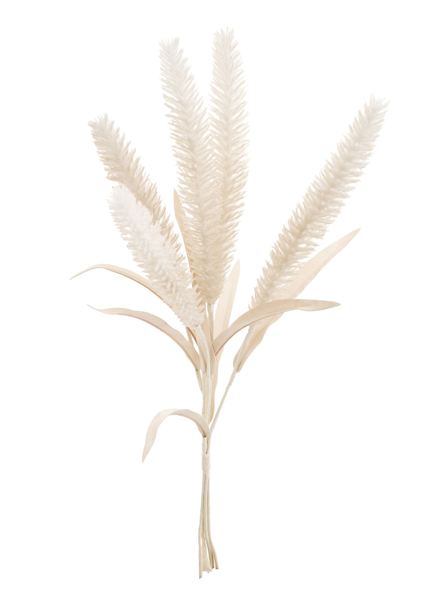 BOUQUET CATTAILS POLY BEIGE