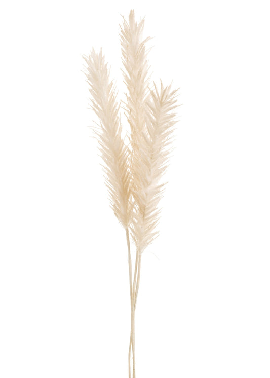 BOUQUET GRASS POLY BEIGE