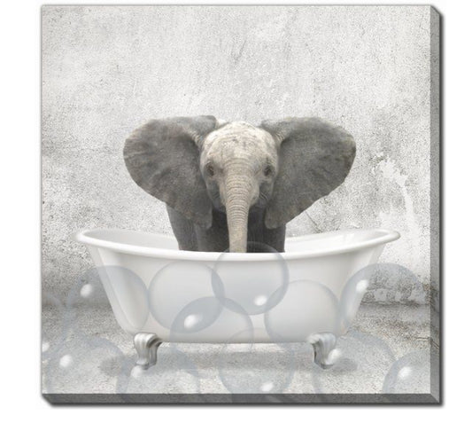 Baby Elephant Bath