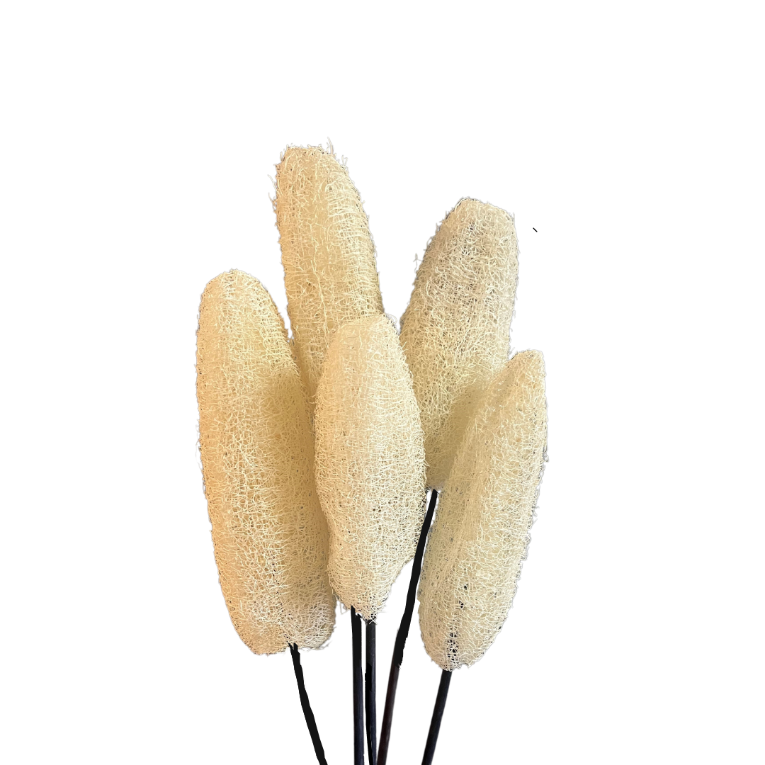 LUFFA