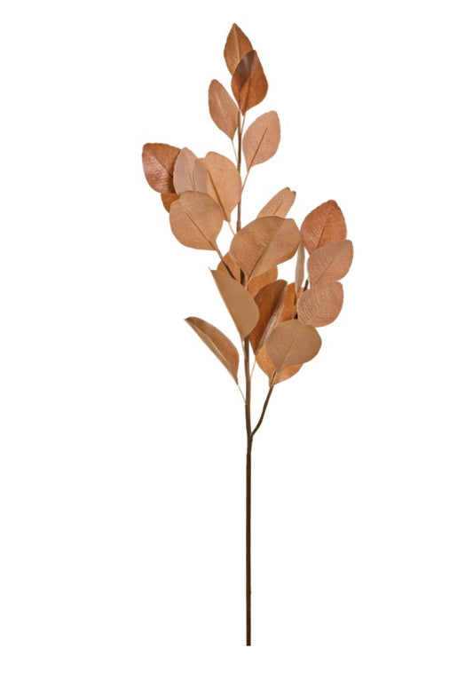 BRANCH EUCALYPTUS PLST BROWN 7X35