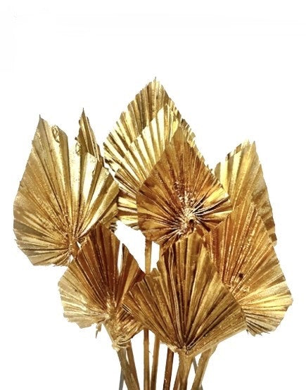 PALM SPEAR MINI GOLD