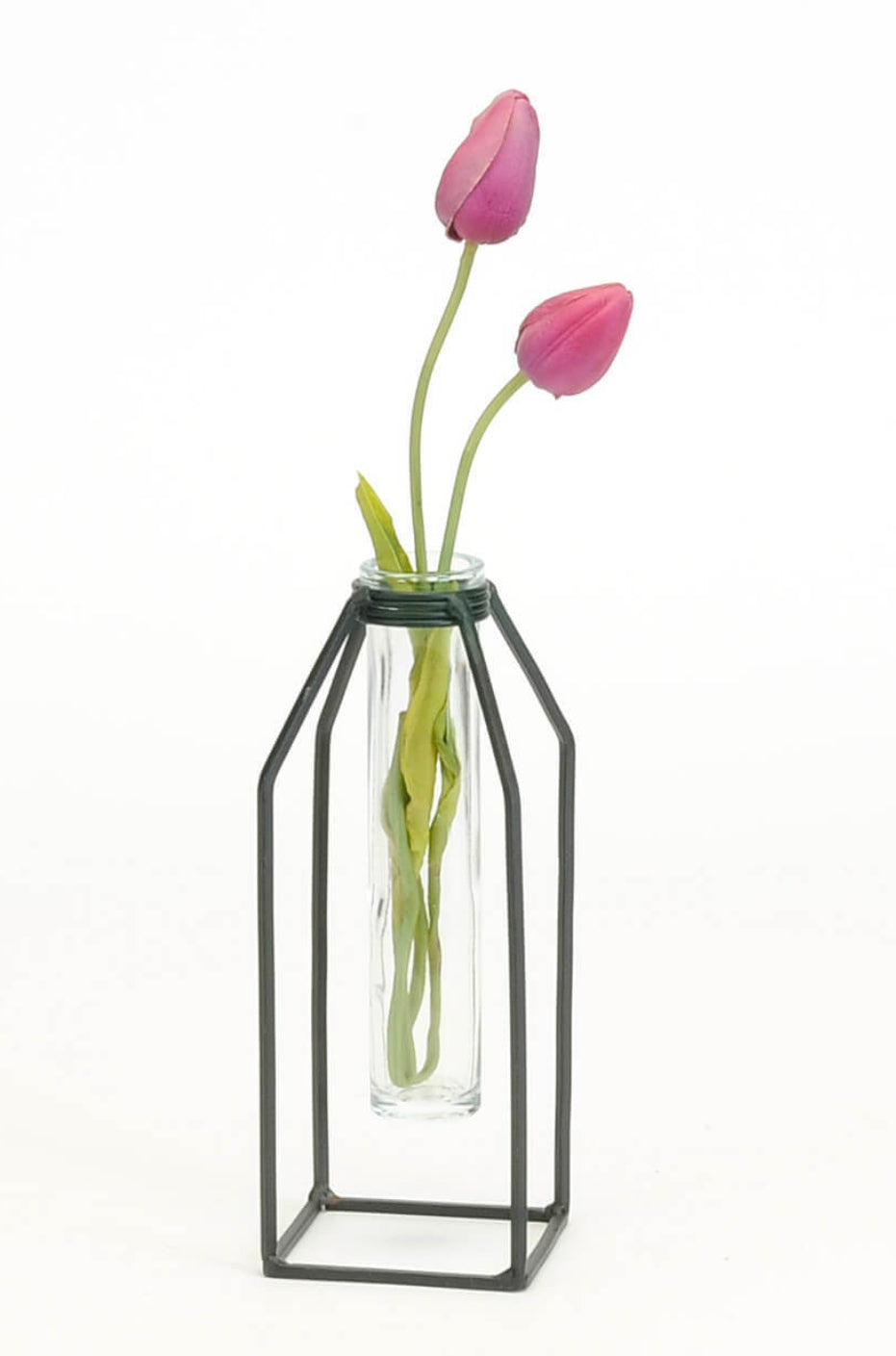 BLK IRON STAND W/TUBE GLASS